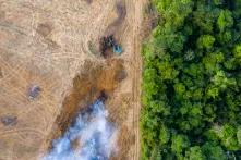 Vogelperspektive auf einen abgeholzten Bereich des Regenwaldes in Brasilien