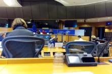 Fraktionssitzung Die Grünen/Europäische Freie Allianz im Europaparlament