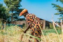 Senegal: Landwirtin in ihrem Reisfeld