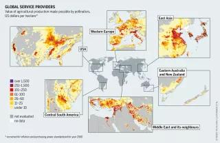 Graphic: Insect Atlas 13b - Global service providers