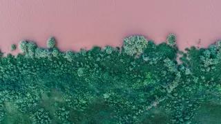 Pink river with green grass in Phalaborwa, South Africa