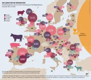 Agraratlas - Infografik - Nutztierbestände in der EU und ihre Verteilung